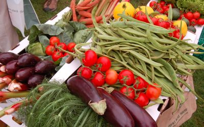 Summer Veggie Guide for Families